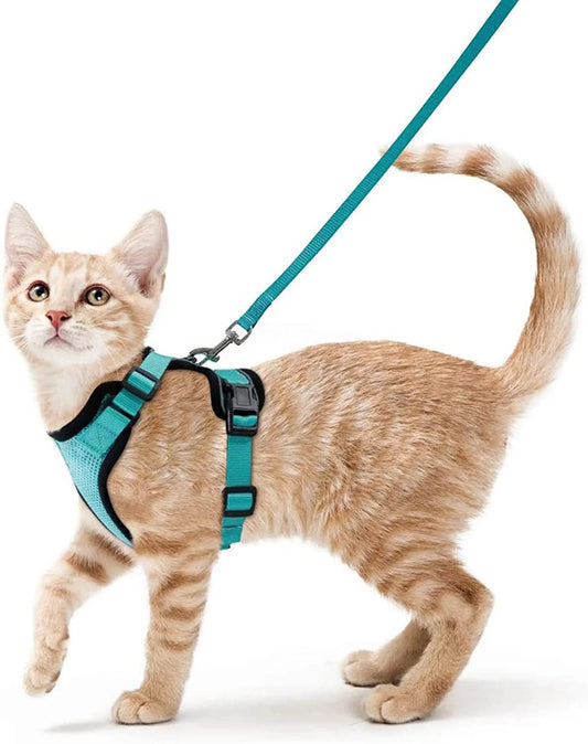 Meow Harness